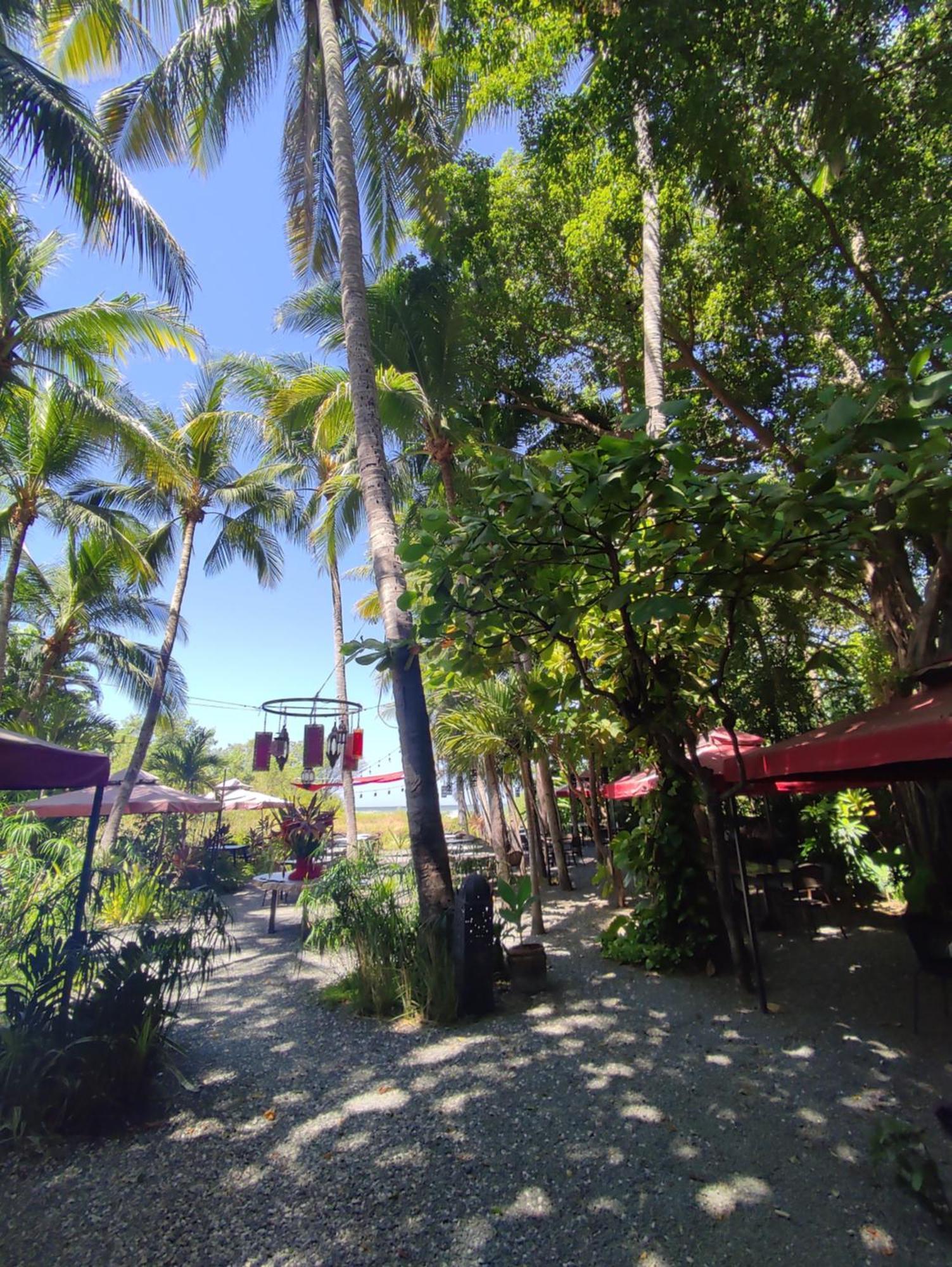 Hotel Laguna Del Cocodrilo Tamarindo Zewnętrze zdjęcie