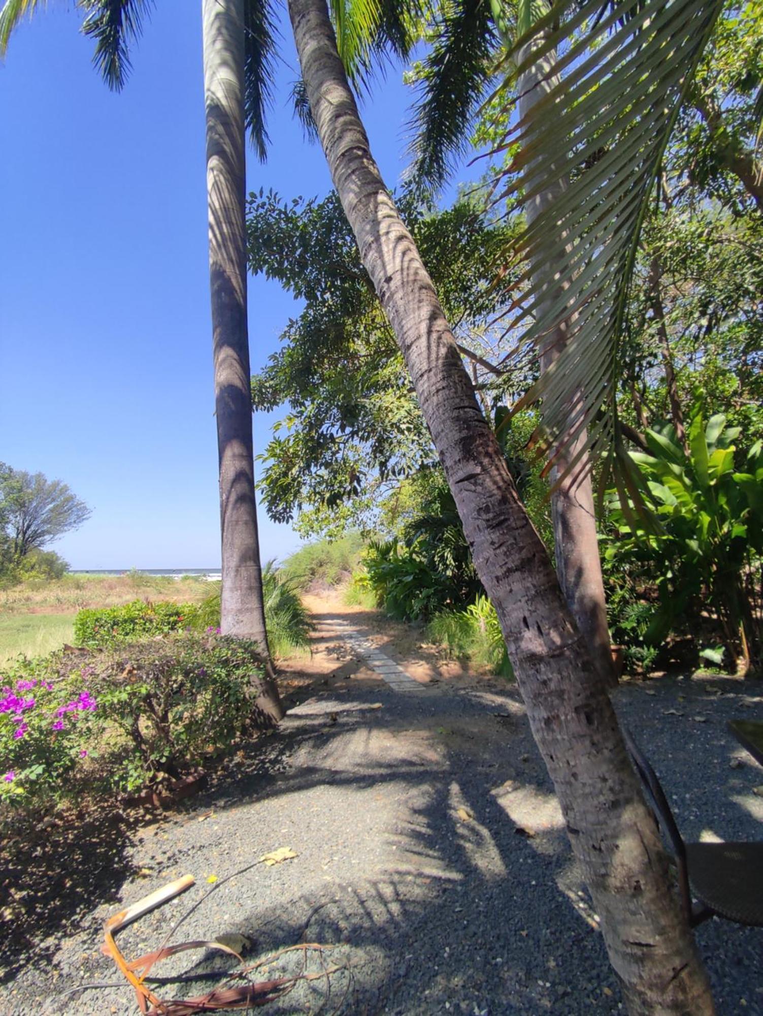 Hotel Laguna Del Cocodrilo Tamarindo Zewnętrze zdjęcie