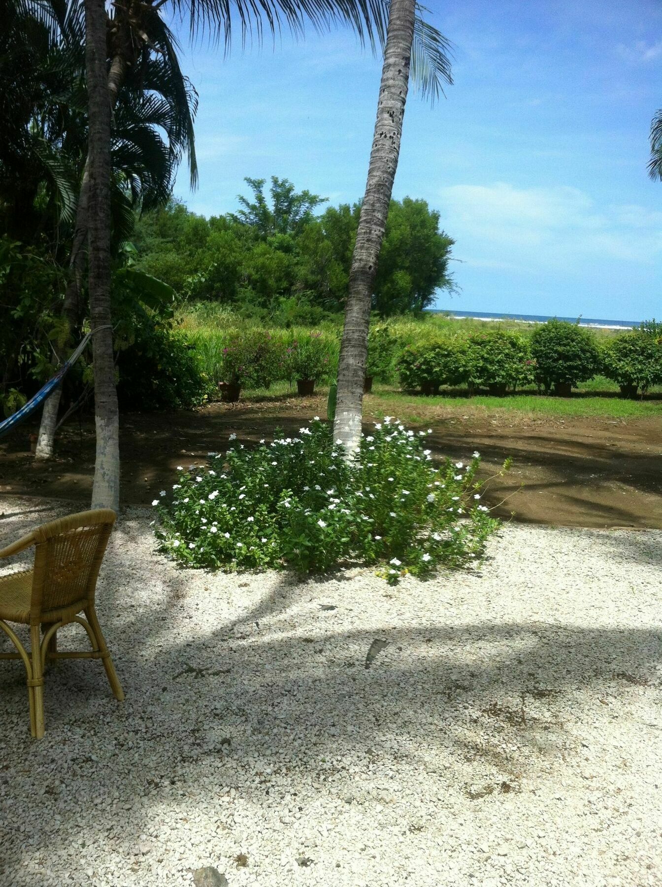 Hotel Laguna Del Cocodrilo Tamarindo Zewnętrze zdjęcie