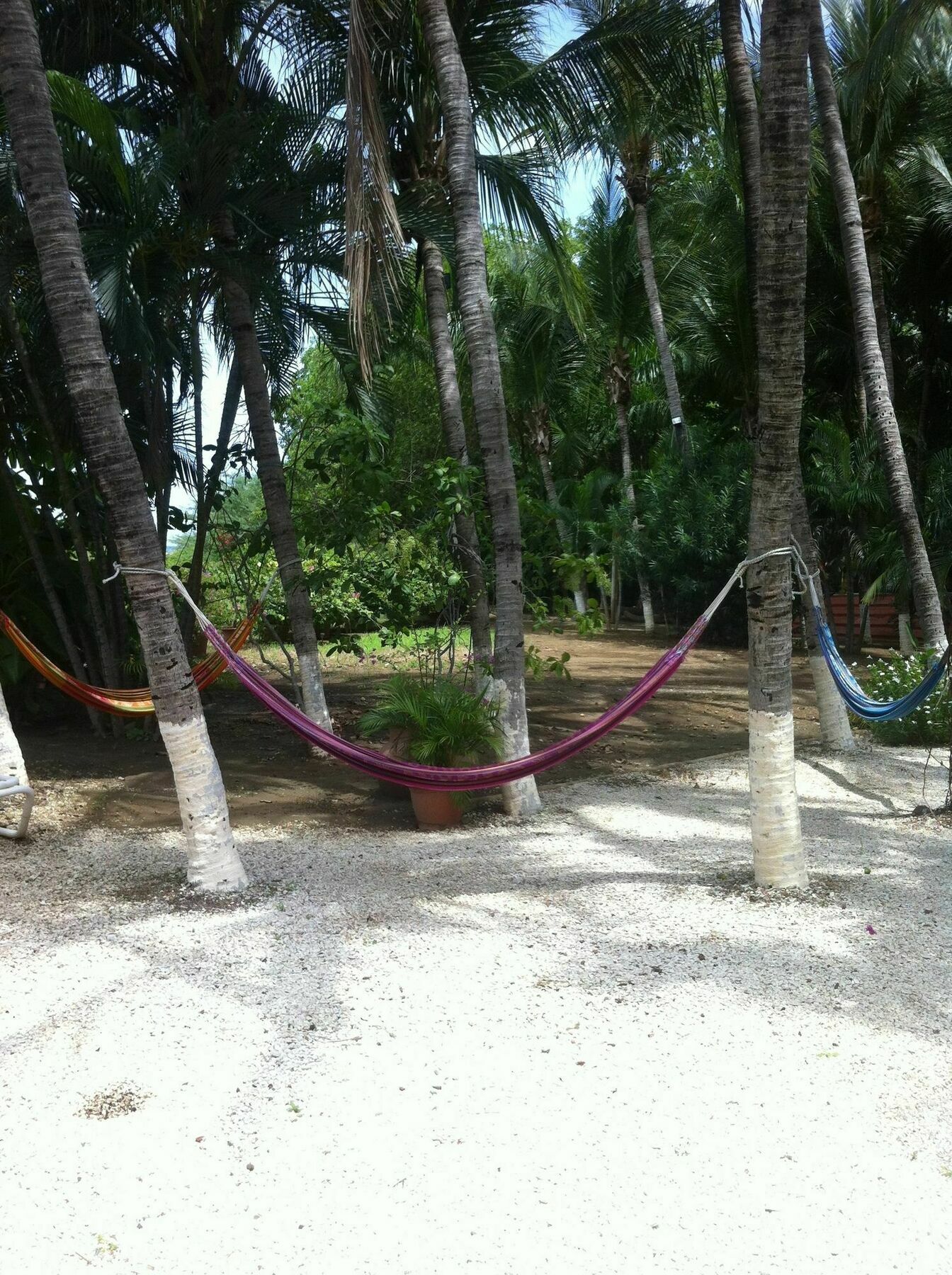 Hotel Laguna Del Cocodrilo Tamarindo Zewnętrze zdjęcie